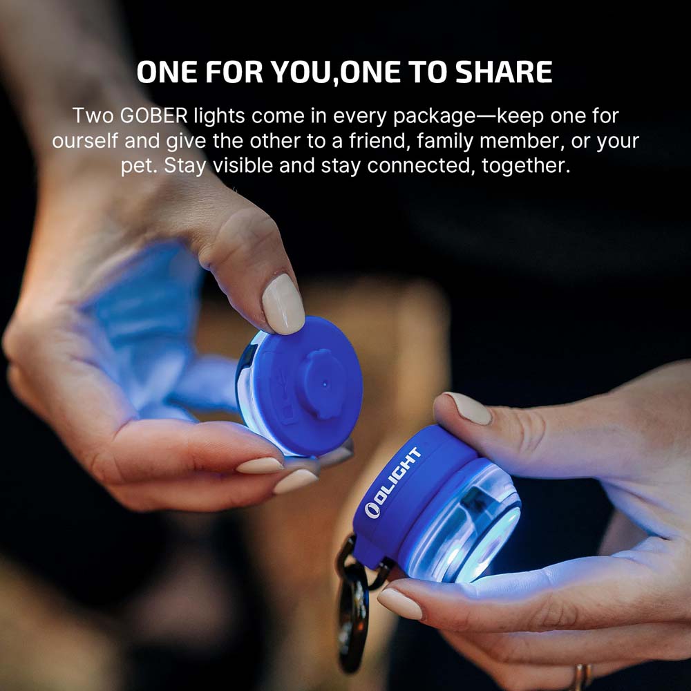Gober 2 Smart Signal Light